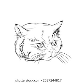 cute cat head sketch on white background