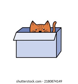 Cute cat hiding in the box. Funny feline character sitting inside the cardboard. Vector illustration