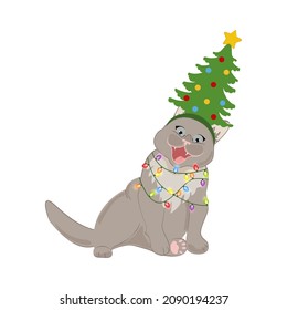 Un gato lindo con sombrero de vacaciones y bombilla. Feliz Navidad y tarjeta de felicitación de Año Nuevo Feliz.