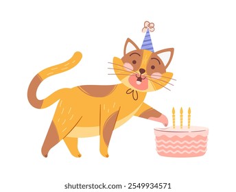 Cute cat hugging birthday gift