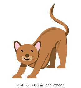 cute cat icon