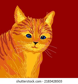 Cute cat icon character hand drawn vector illustration. Isolated on orange,yellow background.