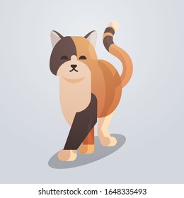 cute cat icon fluffy adorable cartoon animal domestic kitty home pet concept flat full length vector illustration