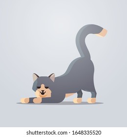 cute cat icon fluffy adorable cartoon animal domestic kitty home pet concept flat full length vector illustration