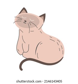 cute cat icon isolated vector