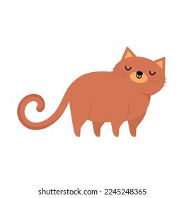 cute cat icon on white background