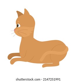 icono de un gato lindo sobre fondo blanco