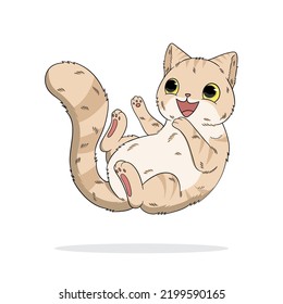 a cute cat illustration design