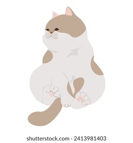 Cute cat illustration isolated on a white background PNG. Bright color cartoon cat vector illustration.