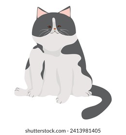 Cute cat illustration isolated on a white background PNG. Bright color cartoon cat vector illustration.