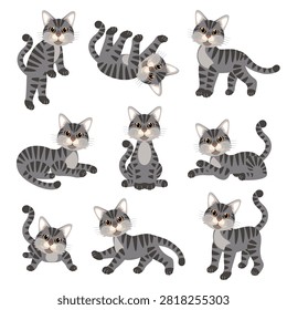 Cute cat illustration material collection,