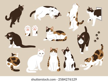 Cute cat illustration set.Vector illustration