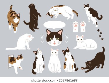 Cute cat illustration set.Vector illustration