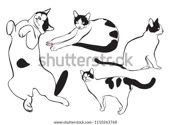 座って寝て立って歩いている可愛い猫イラスト のベクター画像素材 ロイヤリティフリー