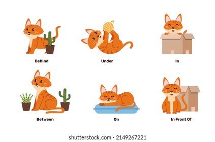 linda ilustración de gato varias poses para aprender un idioma extranjero en preposición para el niño por diversión y juego