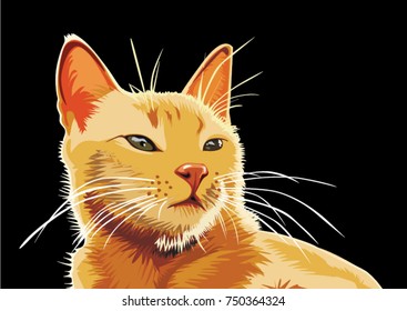 Cat Hair Vector Images Stock Photos Vectors Shutterstock