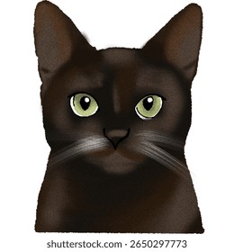 Cute cat illustration vector animal