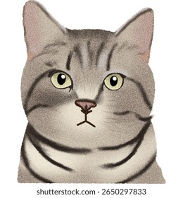 Cute cat illustration vector animal