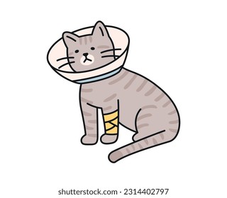 Cute cat. An injured cat is wearing a neck collar and a bandage.