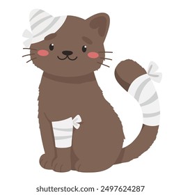 Cute cat with injury to tail, paw and ear, veterinary treatment, injured animal, bandaging pet.