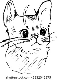 Cute cat ink portrait. Japanese bobtail cat drawing. Vector drawing isolated on white. Animal minimal sketch. 