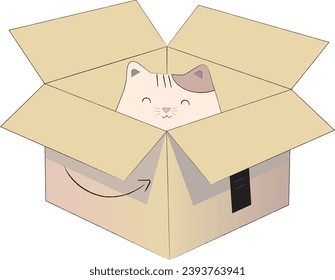 Cute cat inside a box