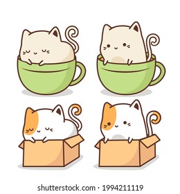 Cute Cat Inside Box And Cup