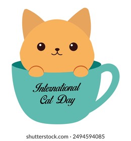 The cute cat into