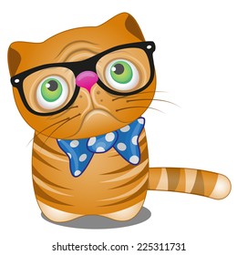Cute Cat isolated on a white background 