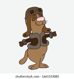 Un gato lindo en una chaqueta y casco con gafas.Diseño vectorial aislado para comunicaciones en línea, redes, redes sociales, diseño web, mensajes móviles.animales