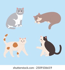 Gatinho de gato bonito gatinho animal de estimação abrigo animal adoção Vadio Cay 