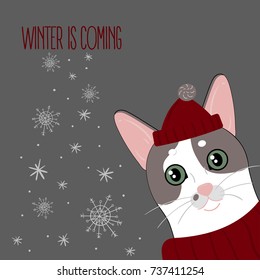 Cute cat with knitted scarf and cap. Winter is coming text. Vector sketch original illustration on gray background