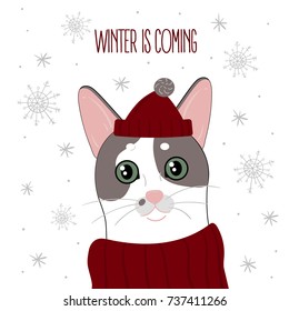 Cute cat with knitted scarf and cap. Winter is coming text. Vector sketch original illustration on white background