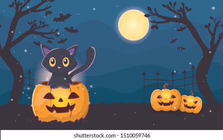 cute cat with lanterns pumpkins halloween