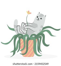 Cute cat laying in a flower pot. Hand drawn flat vector illustration and lettering. Potted plant and pet.