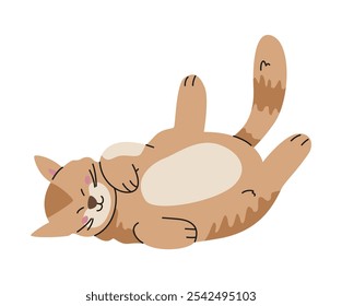 Cute cat laying on back playing and relaxing flat vector illustration isolated on white.