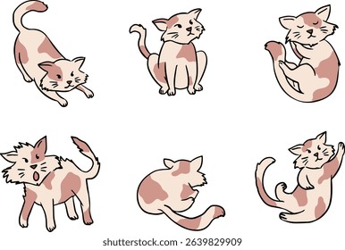 Cute Cat and lazy kitten