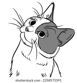 cute cat with line art, for decoration, templates, posters and more