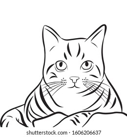 Cute Cat Line art vector design, black and white