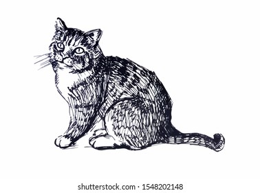 Cute cat. Line drawing. Black and white illustration