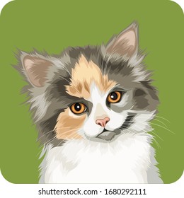 cute cat with long fur vector cartoon perfect for pet lover or pet business