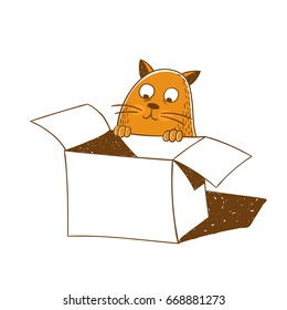 Cute cat is looking into a box. Vector illustration.