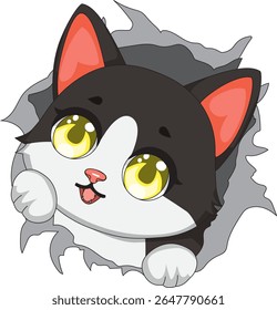 Cute Cat Looking Out From Hole Vector