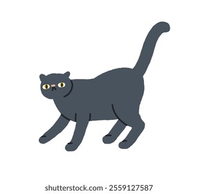 Cute cat looking, staring with funny emotion. Feline animal with tail raised, wide-eyed and shocked, surprised expression. Comic kitty pet. Flat vector illustration isolated on white background