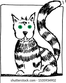 cute cat looking wild and crazy 