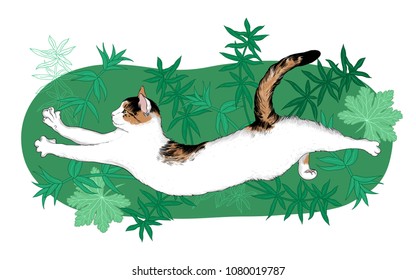 Cute cat is lounging in  the thickets. Illustration on white background. Hand-drawn vector illustration of an animal. Sketch.