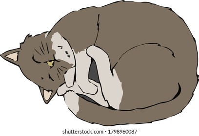 Cute cat lying down illustration material