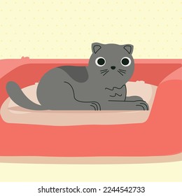 cute cat lying feline character