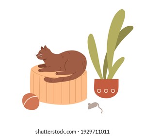 Cute cat lying at home. Adorable kitty with toys, mouse, ball and potted plant. Colored flat vector illustration of happy pet isolated on white background