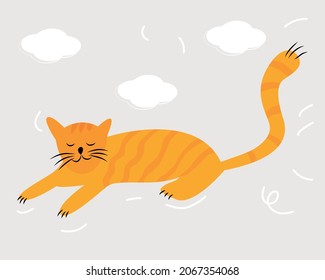 A cute cat is lying, a house cat. Red cat on a solid background